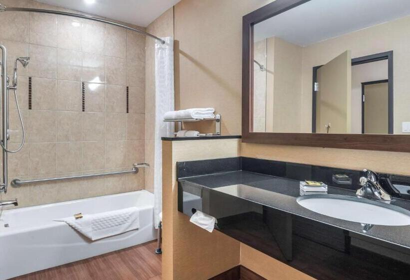 اتاق استاندارد با تخت بزرگ برای معلولان, Best Western Plus, Bathurst Hotel & Suites