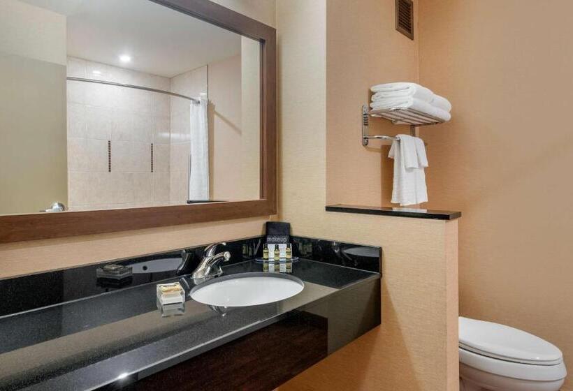 Habitación Estándar Cama King Adaptada para personas con movilidad reducida, Best Western Plus Bathurst  And Suites