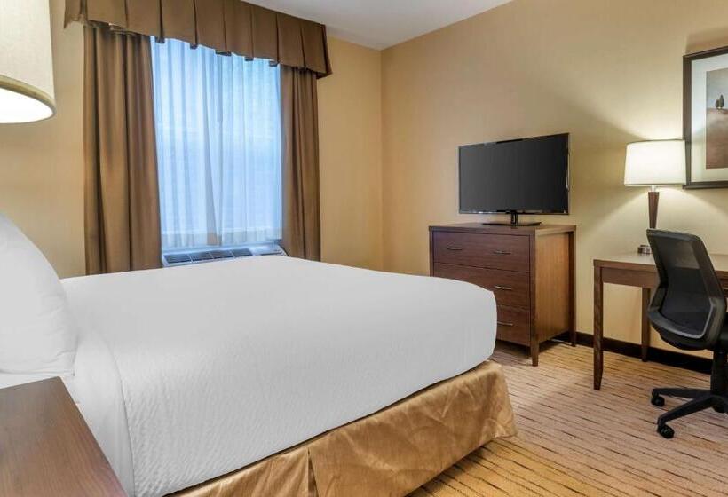 اتاق استاندارد با تخت بزرگ برای معلولان, Best Western Plus, Bathurst Hotel & Suites
