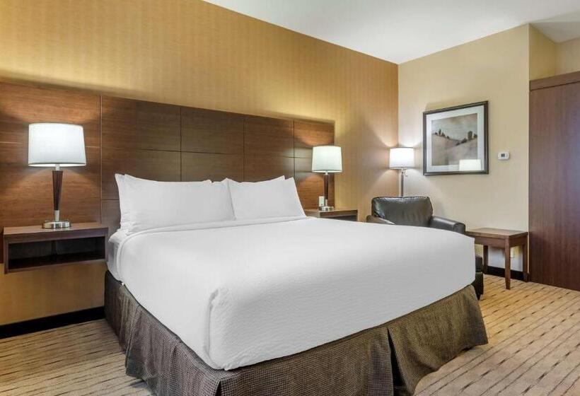 اتاق استاندارد با تخت بزرگ برای معلولان, Best Western Plus, Bathurst Hotel & Suites