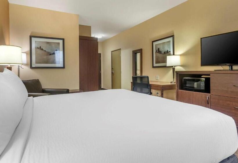 Quarto Estandar Cama King para Deficientes Físicos, Best Western Plus Bathurst  And Suites