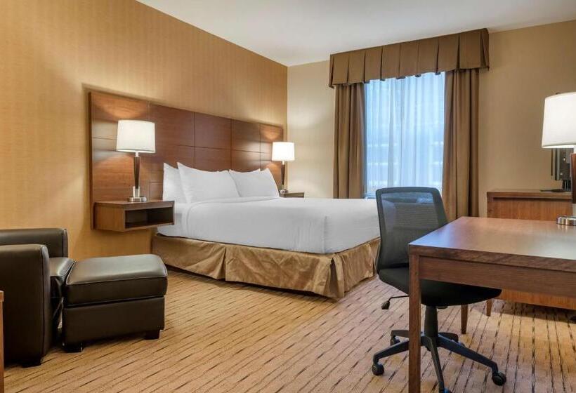 اتاق استاندارد با تخت بزرگ, Best Western Plus, Bathurst Hotel & Suites