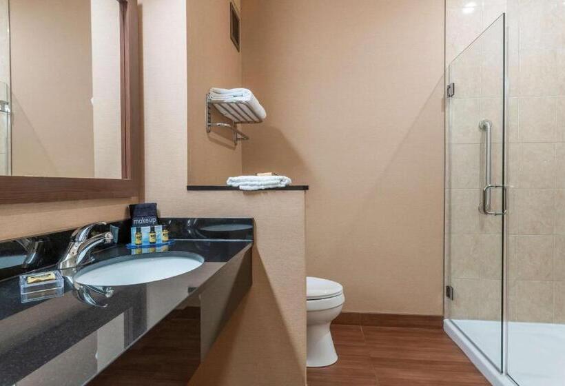 سوییت, Best Western Plus, Bathurst Hotel & Suites
