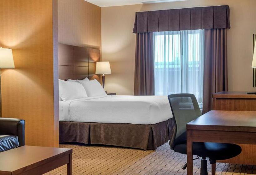 Suite Llit King, Best Western Plus Bathurst  And Suites