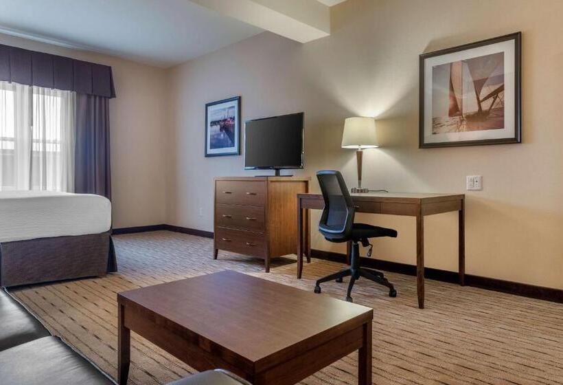 سوئیت با تخت بزرگ, Best Western Plus, Bathurst Hotel & Suites