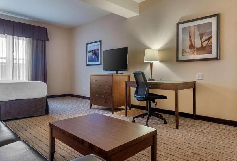 Suite Lit King, Best Western Plus Bathurst  And Suites