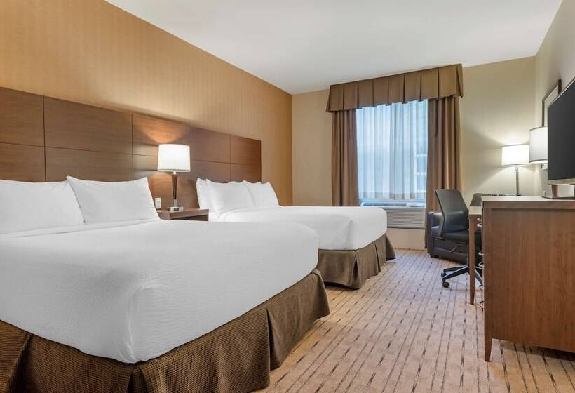 سوییت, Best Western Plus, Bathurst Hotel & Suites