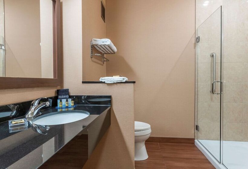 سوییت, Best Western Plus, Bathurst Hotel & Suites