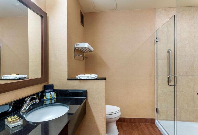 سوئیت با تخت بزرگ, Best Western Plus, Bathurst Hotel & Suites