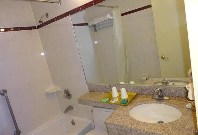 اتاق استاندارد, Flushing