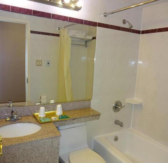 اتاق استاندارد با 2 تخت دوبل, Flushing