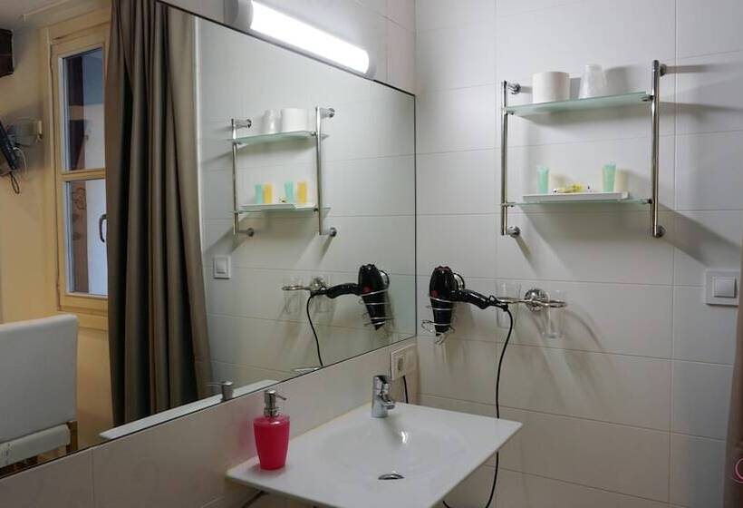 اتاق استاندارد, Pension Aliciazzz Bed And Breakfast Bilbao
