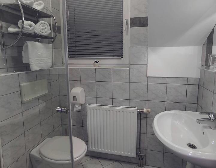 Standard Single Room, Bajt Maribor