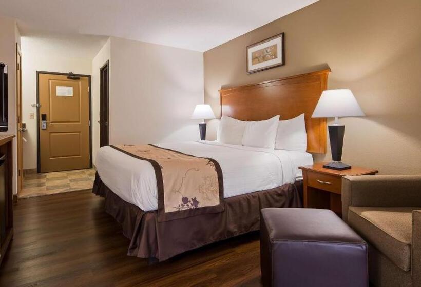 اتاق استاندارد با تخت بزرگ, Best Western Alexandria Inn