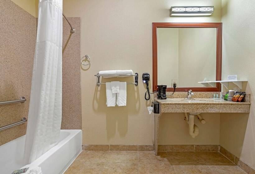 Люкс Адаптированный для Инвалидов, Best Western Texas City