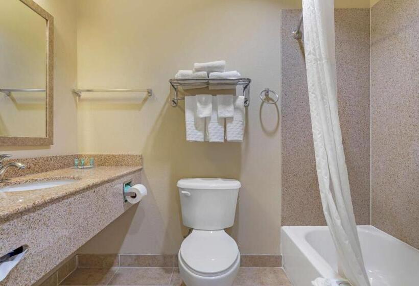 Стандартный Номер Кровать Кинг, Best Western Texas City