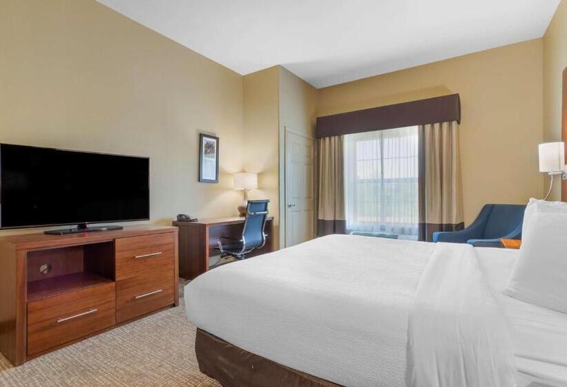 Номер Стандарт Кровать Кинг Адаптированный для Инвалидов, Best Western Texas City