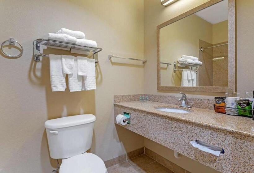 Люкс Кровать Кинг, Best Western Texas City