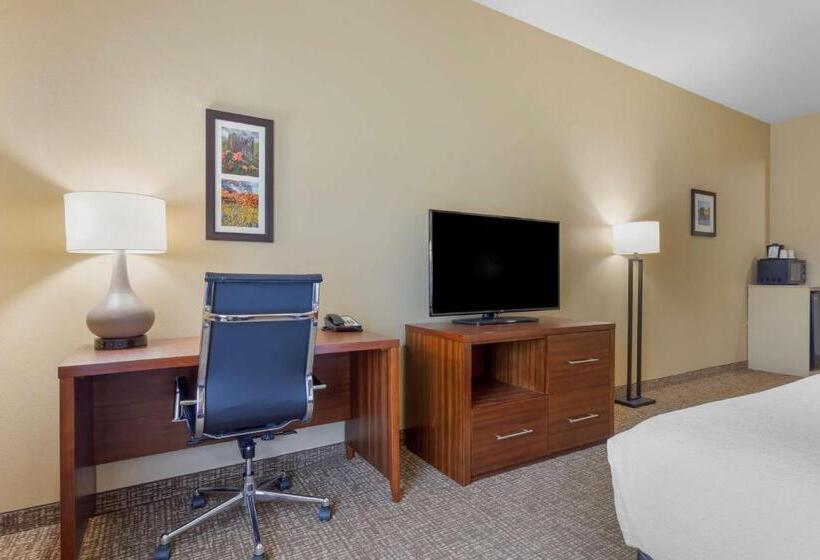 Suite Lit King, Best Western Texas City