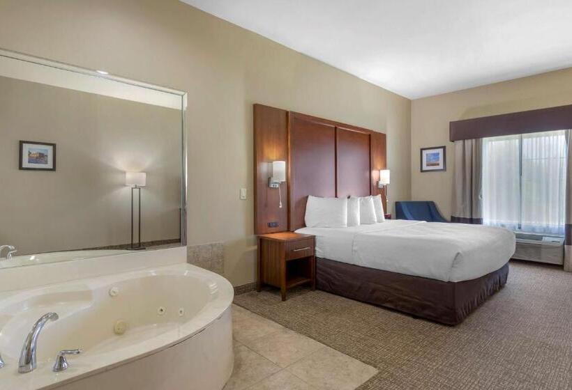 Suite Lit King, Best Western Texas City