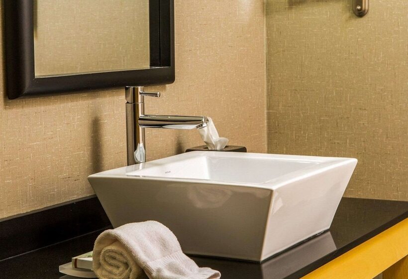 Suite Adapted for people with reduced mobility, Cambria  Traverse City