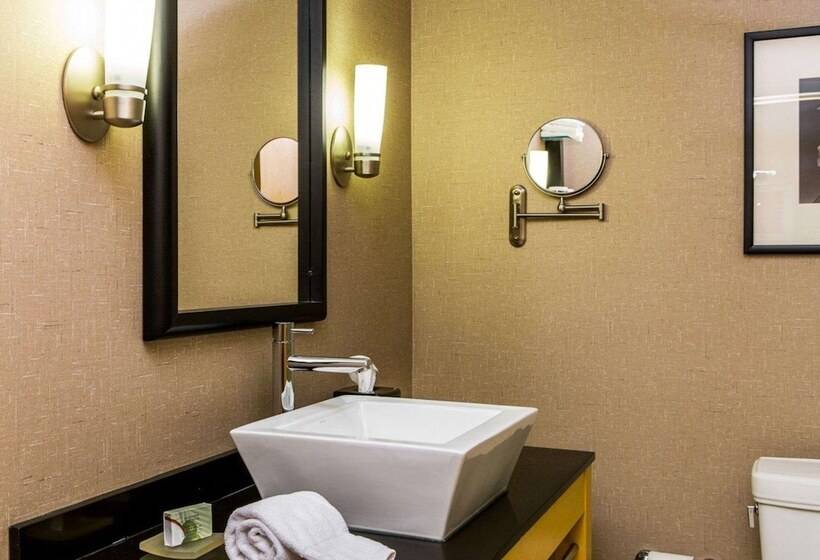 Suite Adapted for people with reduced mobility, Cambria  Traverse City