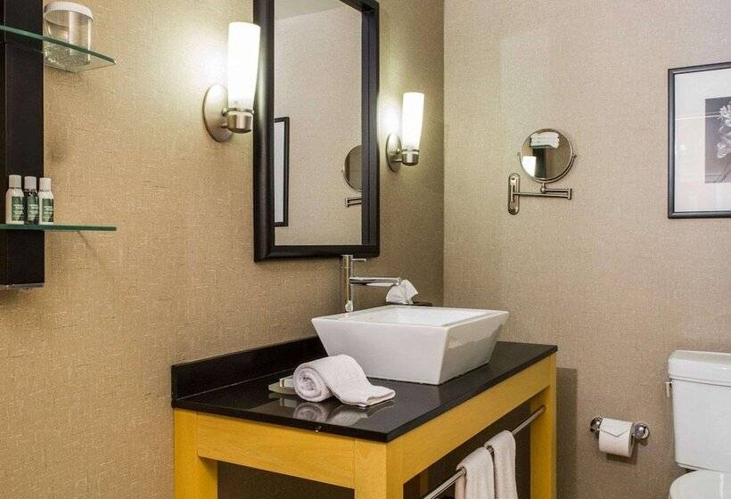 سوئیت برای معلولان, Cambria Hotel Traverse City