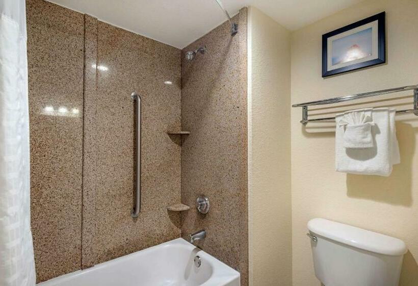 اتاق استاندارد, Comfort Inn Kissimmee-Lake Buena Vista South