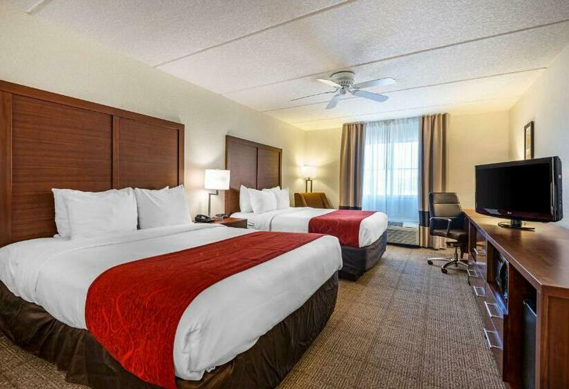 اتاق استاندارد, Comfort Inn Kissimmee-Lake Buena Vista South