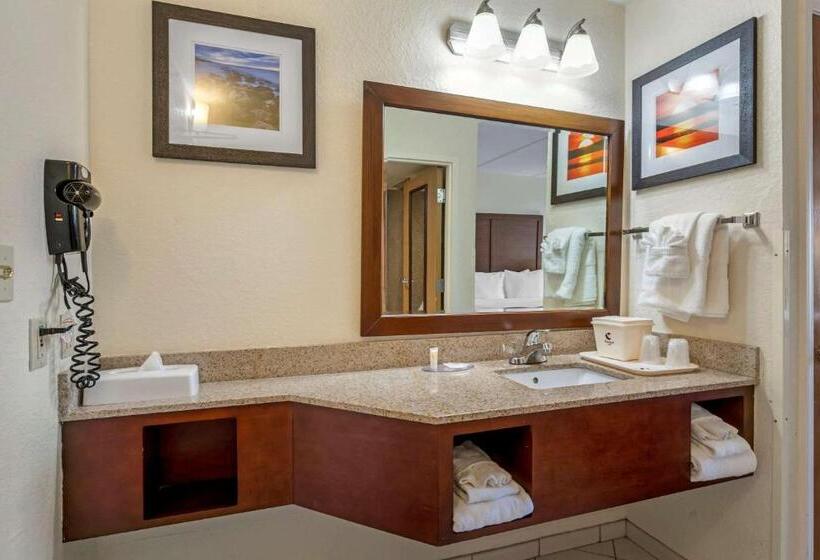 اتاق استاندارد, Comfort Inn Kissimmee-Lake Buena Vista South
