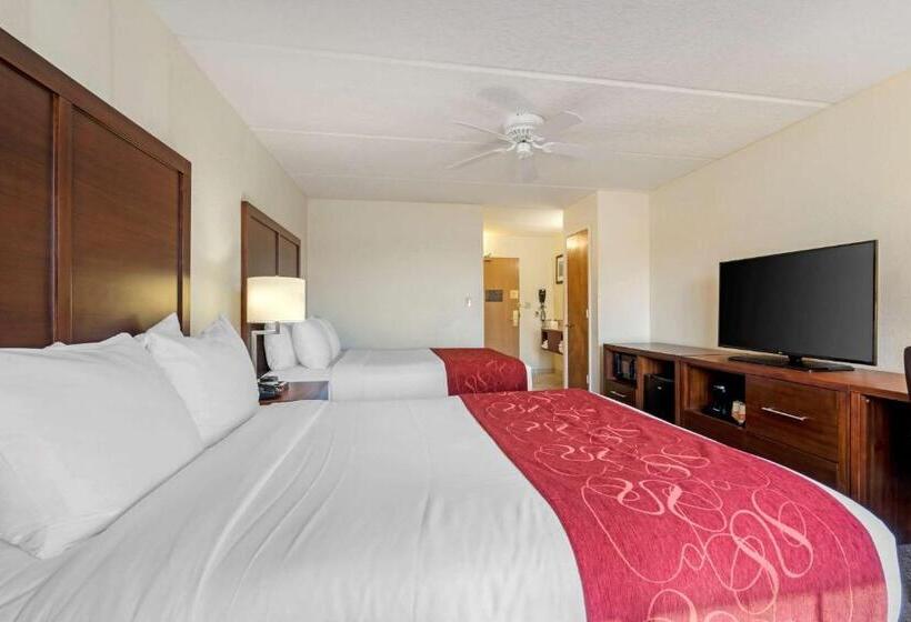 اتاق استاندارد, Comfort Inn Kissimmee-Lake Buena Vista South