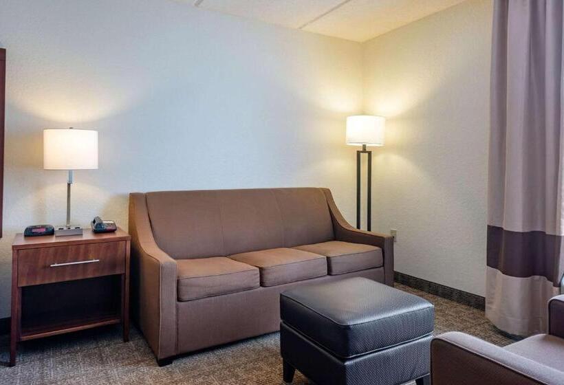 اتاق استاندارد با تخت بزرگ, Comfort Inn Kissimmee-Lake Buena Vista South