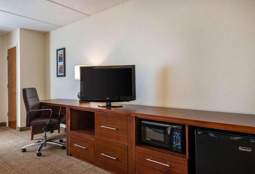 اتاق استاندارد با تخت بزرگ, Comfort Inn Kissimmee-Lake Buena Vista South