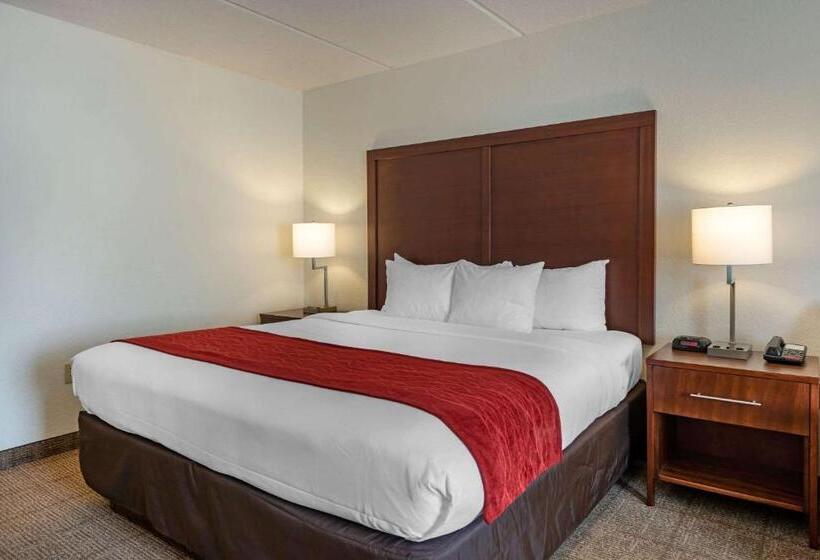 اتاق استاندارد با تخت بزرگ, Comfort Inn Kissimmee-Lake Buena Vista South