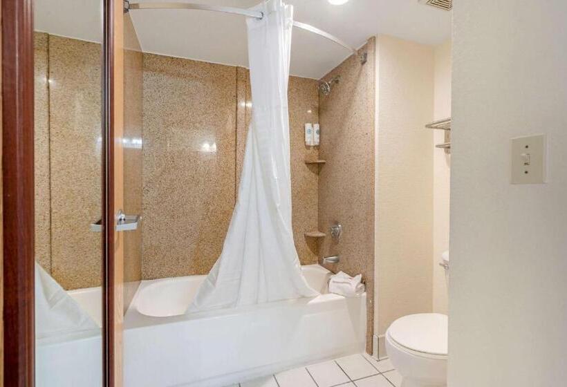 اتاق استاندارد با تخت بزرگ, Comfort Inn Kissimmee-Lake Buena Vista South