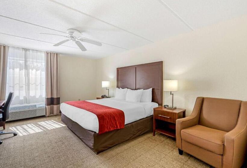 اتاق استاندارد با تخت بزرگ, Comfort Inn Kissimmee-Lake Buena Vista South