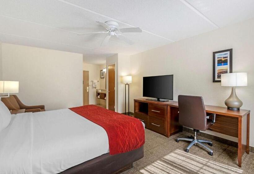 اتاق استاندارد با تخت بزرگ, Comfort Inn Kissimmee-Lake Buena Vista South