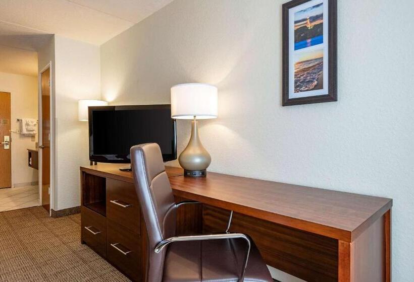 اتاق استاندارد با تخت بزرگ, Comfort Inn Kissimmee-Lake Buena Vista South