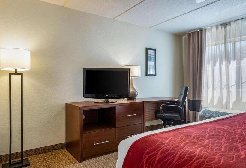 اتاق استاندارد با تخت بزرگ, Comfort Inn Kissimmee-Lake Buena Vista South