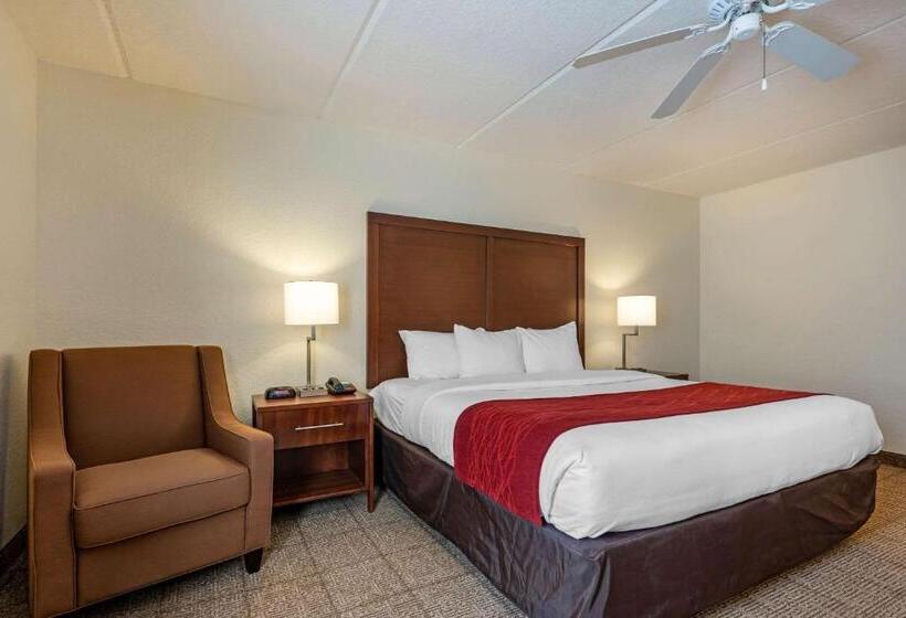 اتاق استاندارد با تخت بزرگ, Comfort Inn Kissimmee-Lake Buena Vista South