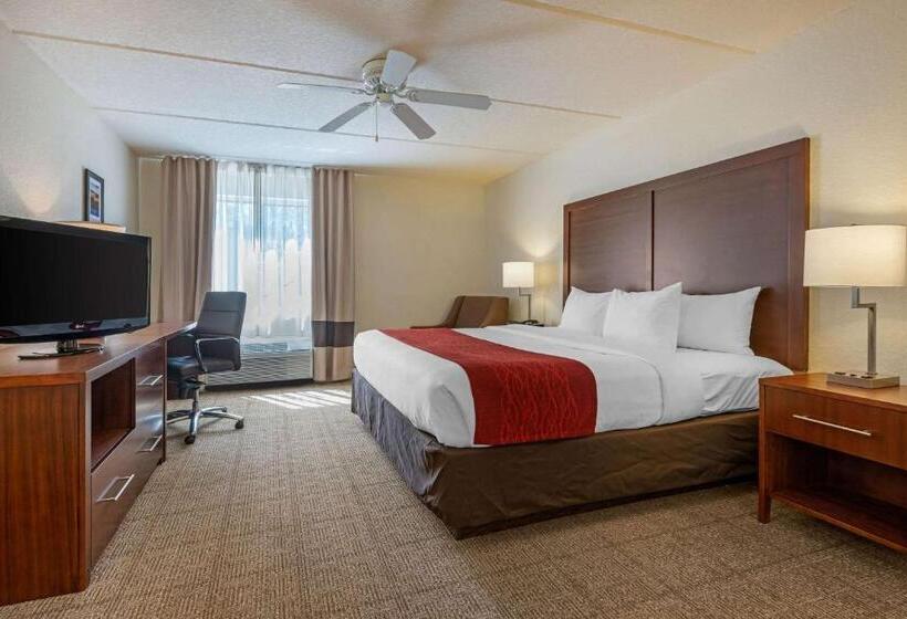 اتاق استاندارد با تخت بزرگ, Comfort Inn Kissimmee-Lake Buena Vista South