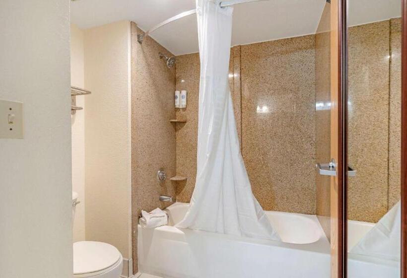 اتاق استاندارد با تخت بزرگ, Comfort Inn Kissimmee-Lake Buena Vista South