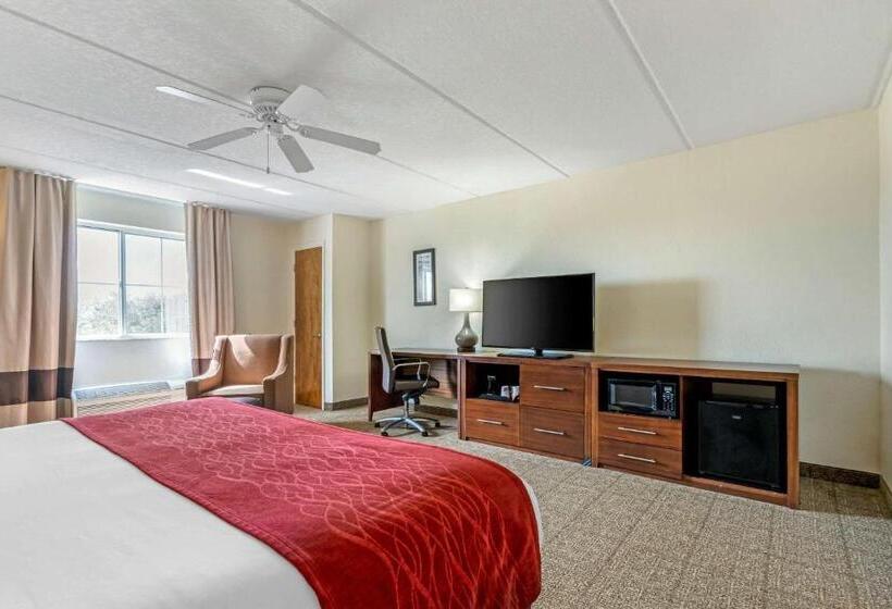 غرفة قياسية سرير كينج, Comfort Inn Kissimmee