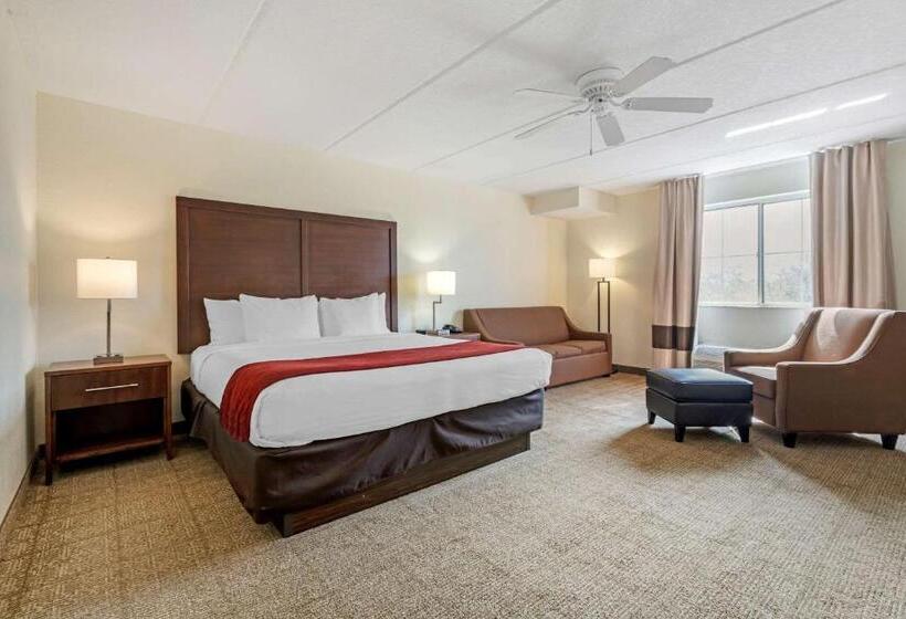 اتاق استاندارد با تخت بزرگ, Comfort Inn Kissimmee-Lake Buena Vista South