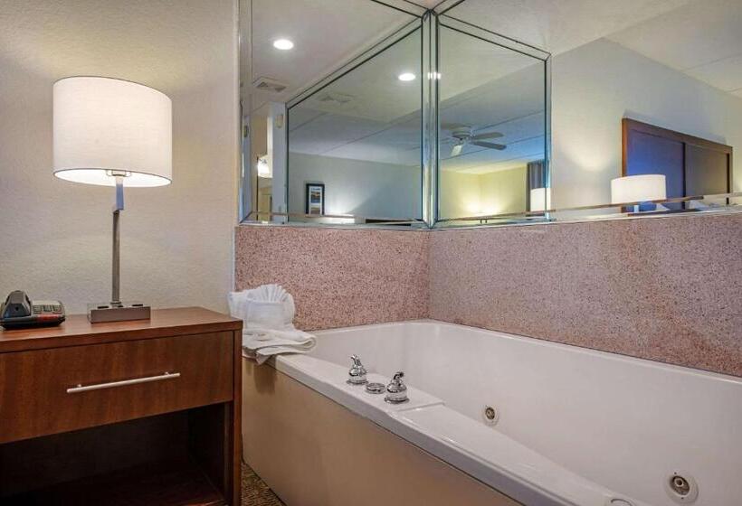 اتاق استاندارد با تخت بزرگ, Comfort Inn Kissimmee-Lake Buena Vista South
