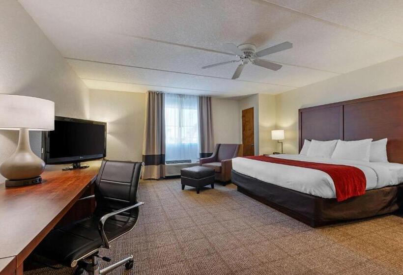 اتاق استاندارد با تخت بزرگ, Comfort Inn Kissimmee-Lake Buena Vista South