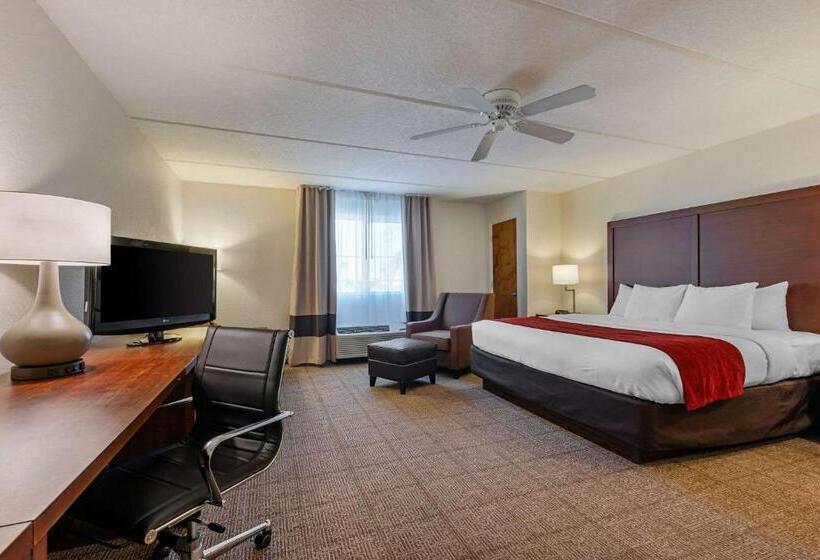 غرفة قياسية سرير كينج, Comfort Inn Kissimmee