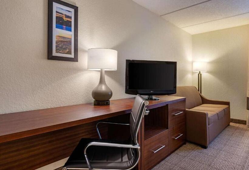 اتاق استاندارد با تخت بزرگ, Comfort Inn Kissimmee-Lake Buena Vista South