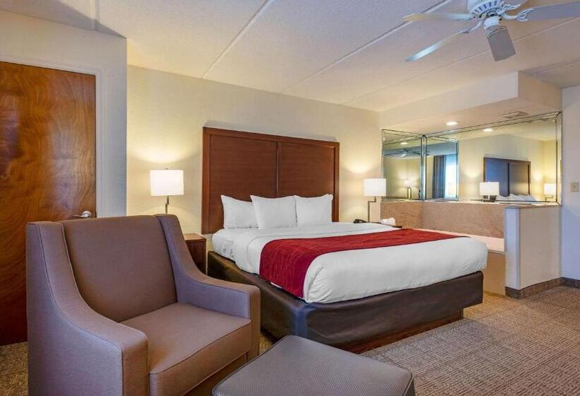 اتاق استاندارد با تخت بزرگ, Comfort Inn Kissimmee-Lake Buena Vista South