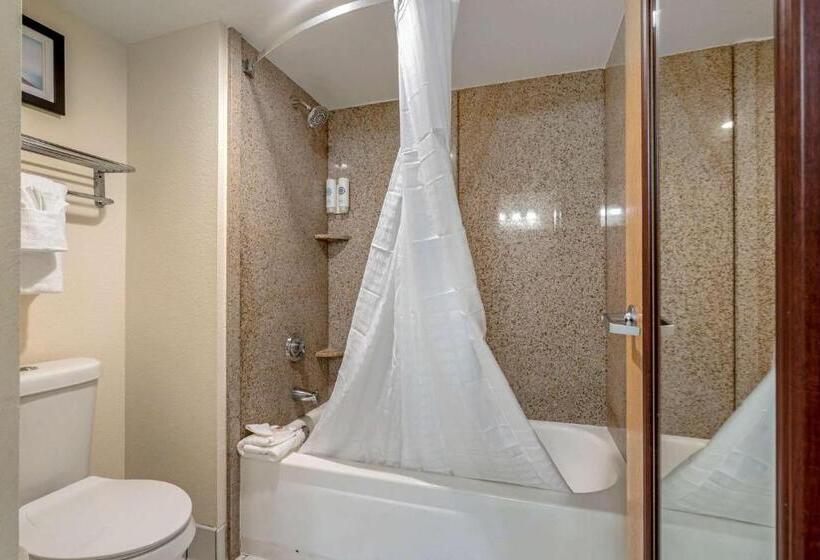 اتاق استاندارد با تخت بزرگ, Comfort Inn Kissimmee-Lake Buena Vista South